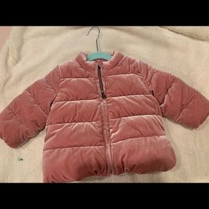 Gap baby girl puffer jacket